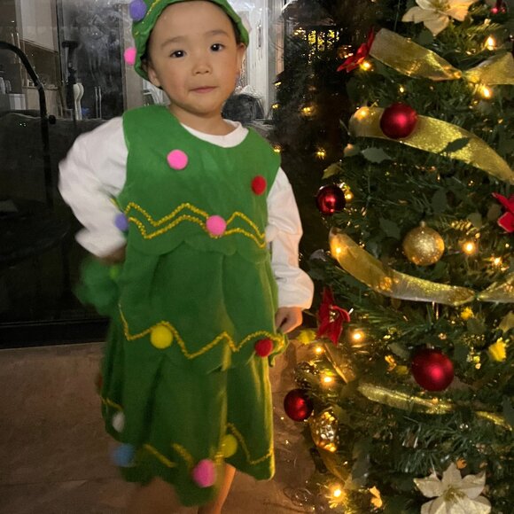 Children's Christmas Costume Set - Christmas Tree Design, Green - Picture 4 of 10